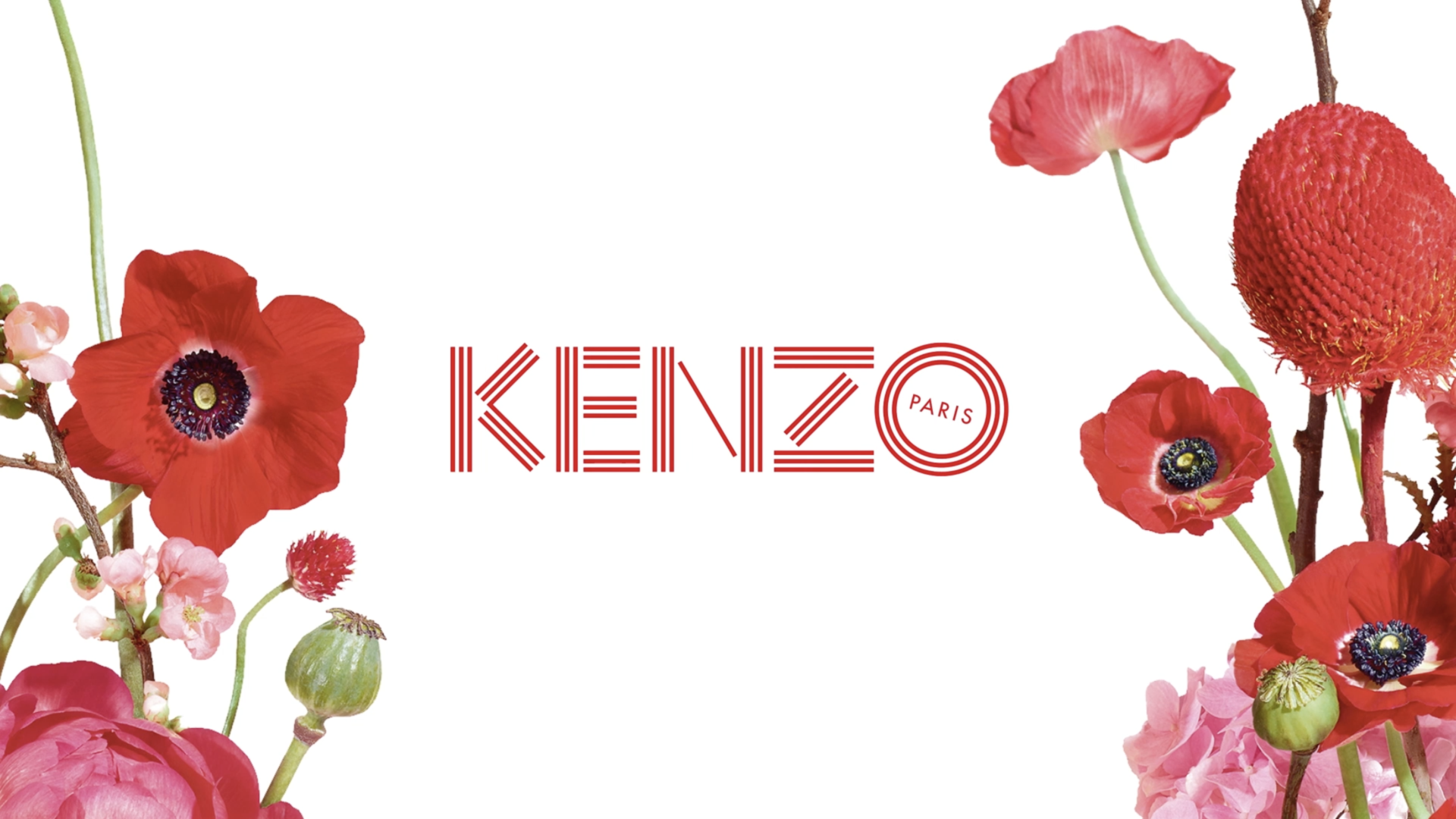 Kenzo