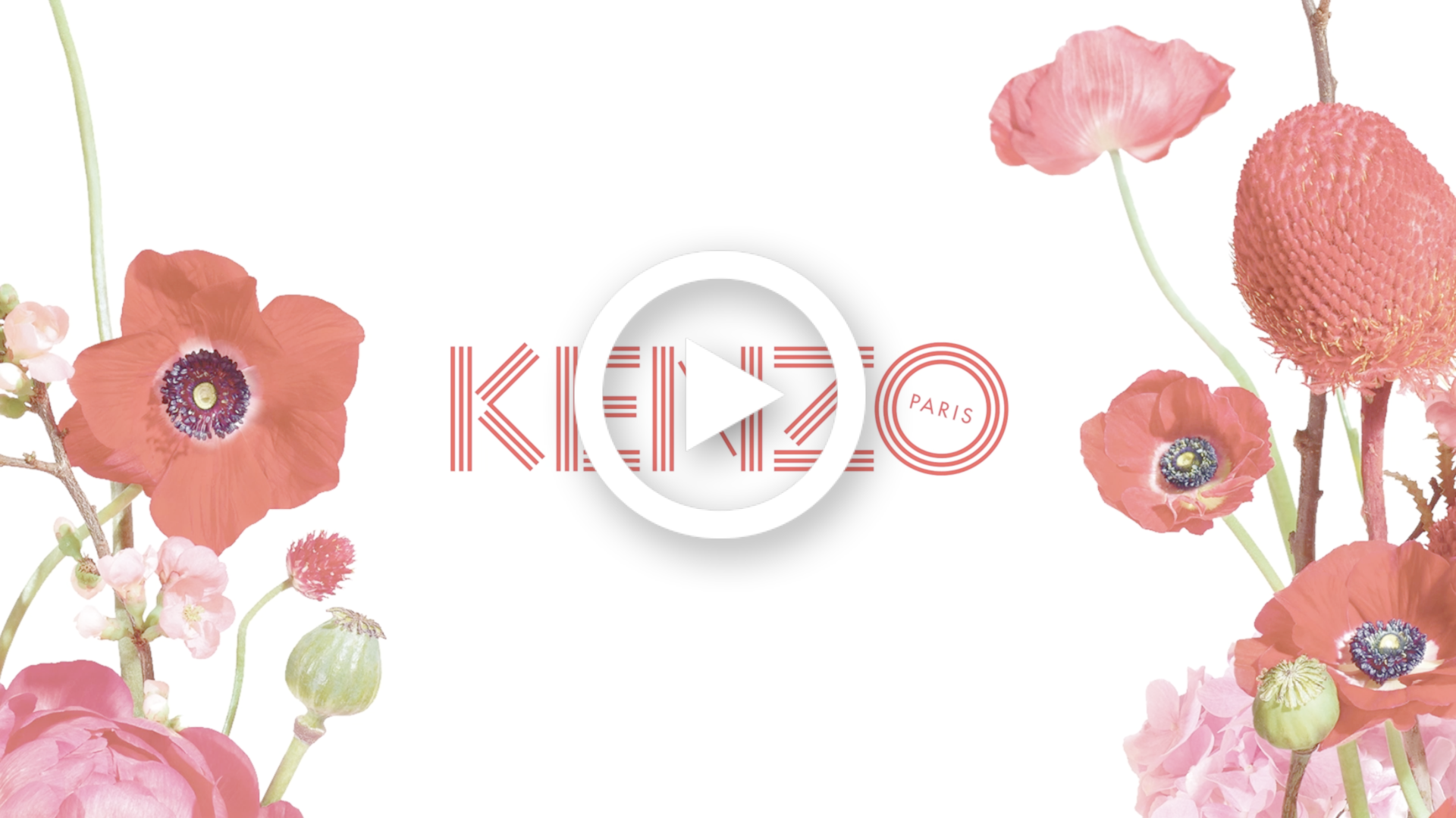 Kenzo